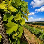 Weinquartier 6 Eventraum Fahrradraum Kaffee Kueche Parken Apartman Naumburg