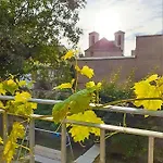 Weinquartier 6 Eventraum Fahrradraum Kaffee Kueche Parken Apartman