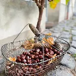 Apartman Weinquartier 6 Eventraum Fahrradraum Kaffee Kueche Parken