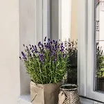 Weinquartier 6 Eventraum Fahrradraum Kaffee Kueche Parken