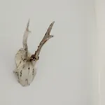 Weinquartier 6 Eventraum Fahrradraum Kaffee Kueche Parken Apartman