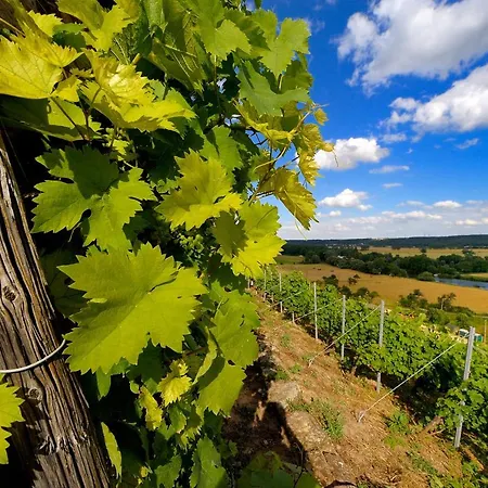 Weinquartier Διαμέρισμα Νάουμπουργκ