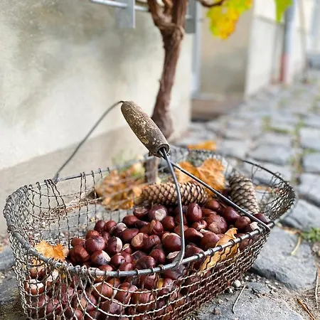 Διαμέρισμα Weinquartier