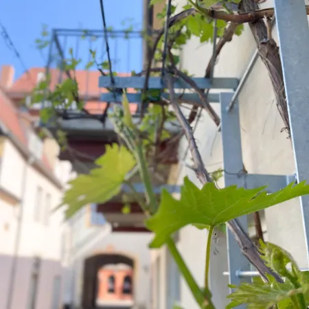 Weinquartier 6 Eventraum Fahrradraum Kaffee Kueche Parken Naumburg