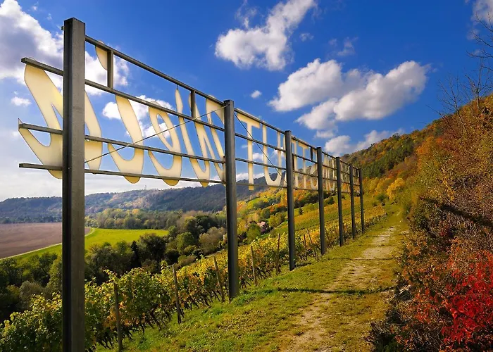Weinquartier 6 Eventraum Fahrradraum Kaffee Kueche Parken Naumburg