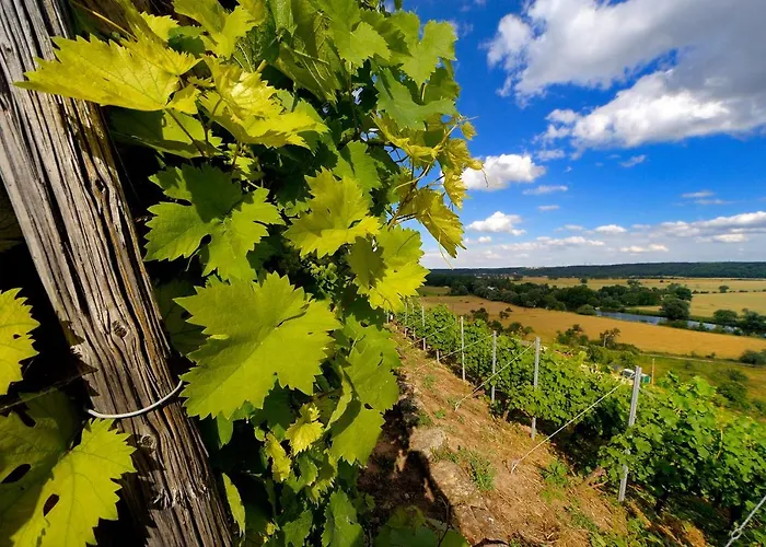 Weinquartier 6 Eventraum Fahrradraum Kaffee Kueche Parken דירה נאומבורג