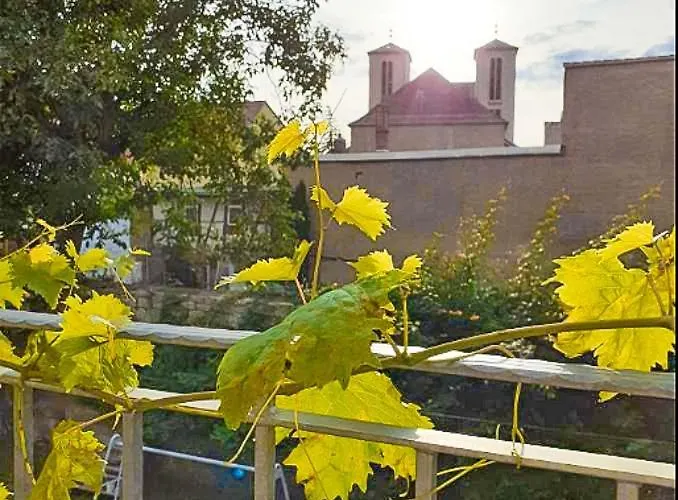 Weinquartier 6 Eventraum Fahrradraum Kaffee Kueche Parken Apartman