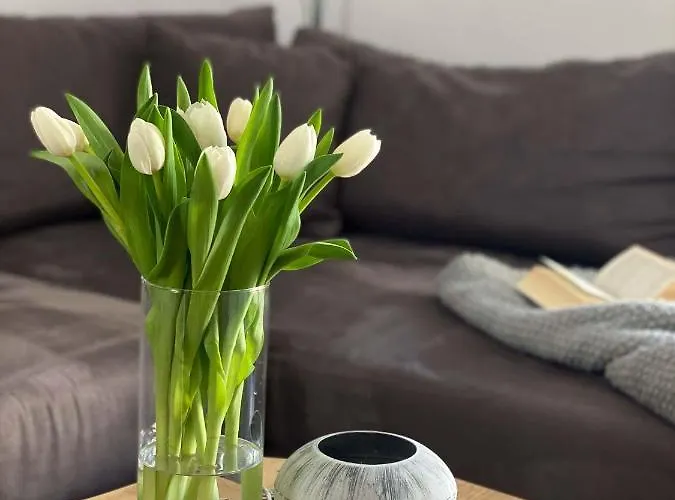 Weinquartier 6 Eventraum Fahrradraum Kaffee Kueche Parken * נאומבורג