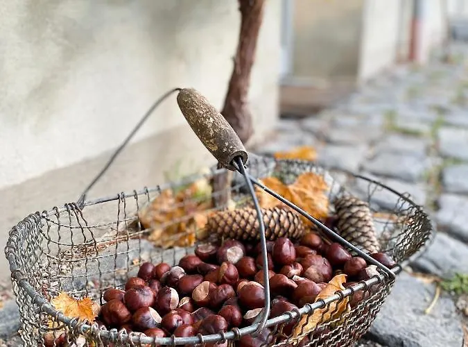 דירה Weinquartier 6 Eventraum Fahrradraum Kaffee Kueche Parken