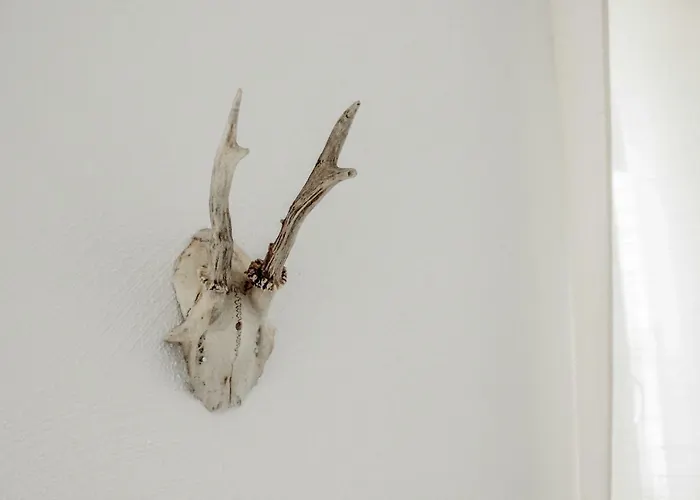 Weinquartier 6 Eventraum Fahrradraum Kaffee Kueche Parken דירה